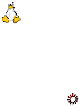 pic for Linux booting